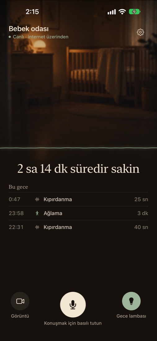 Ebeveyn ekranı: bebek odası ve bu gecenin sesleri
